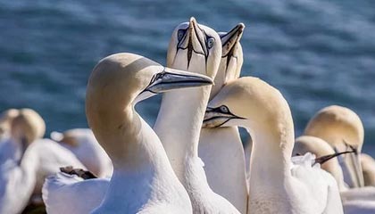 pg电子免费试玩-开云注册平台：云端速度与安全并行的一站式数字起点